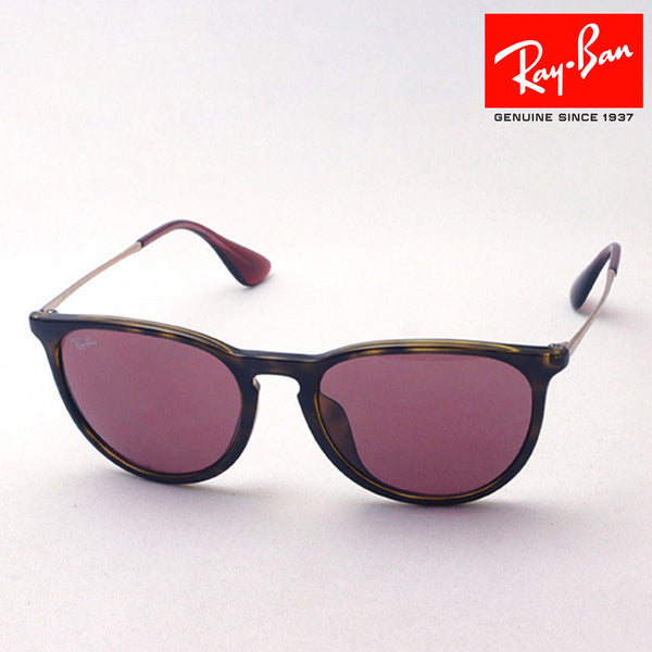 Ray-Ban Sunglasses Ray-Ban RB4171F 639175 Erica