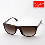 Ray-Ban Sunglasses Ray-Ban RB4291F 71013