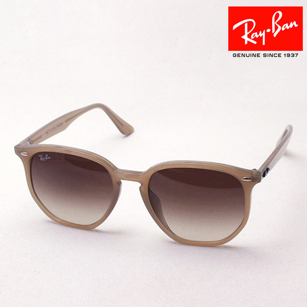 Ray-Ban太阳镜Ray-Ban RB4306F 616613