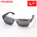 Gafas de sol polarizadas de Ray-Ban Ray-Ban RB4388 6647G3