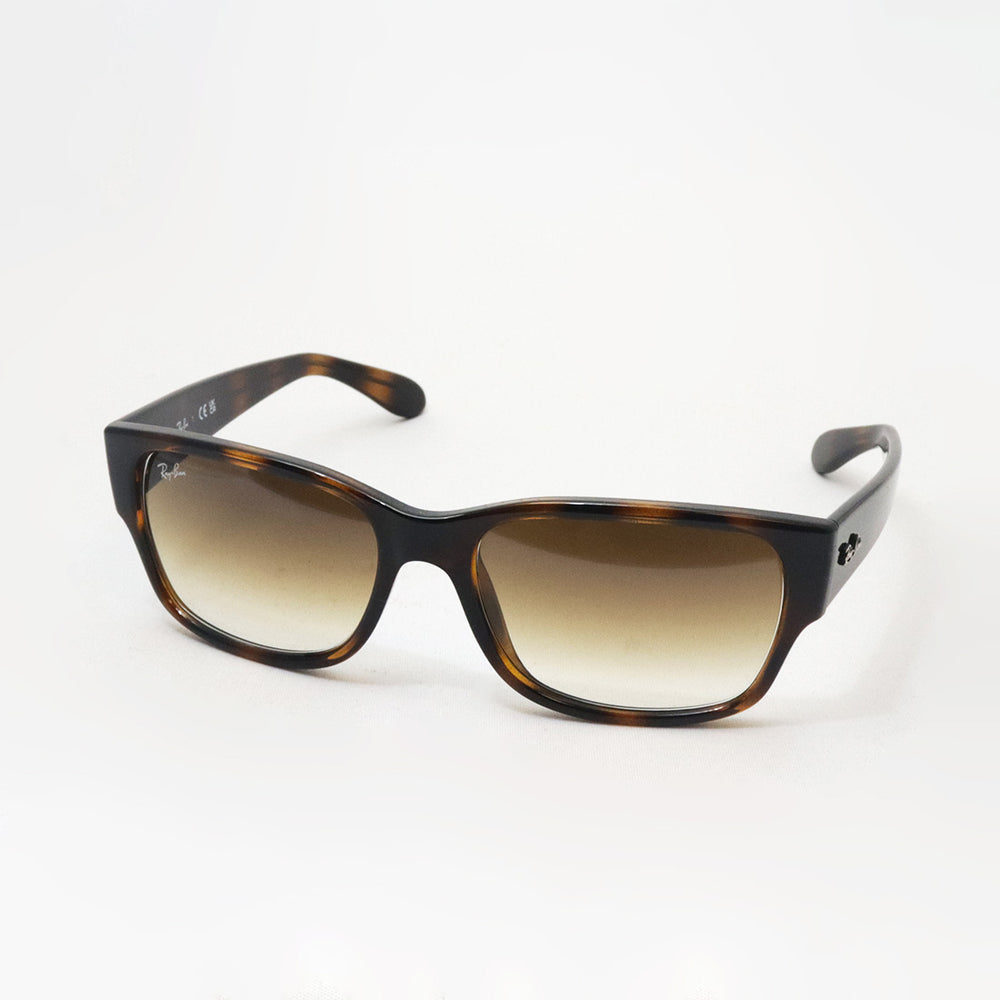 レイバン　サングラス レイバン公式ストア】 Ray-Ban® RB4388 サングラス | ブラック X