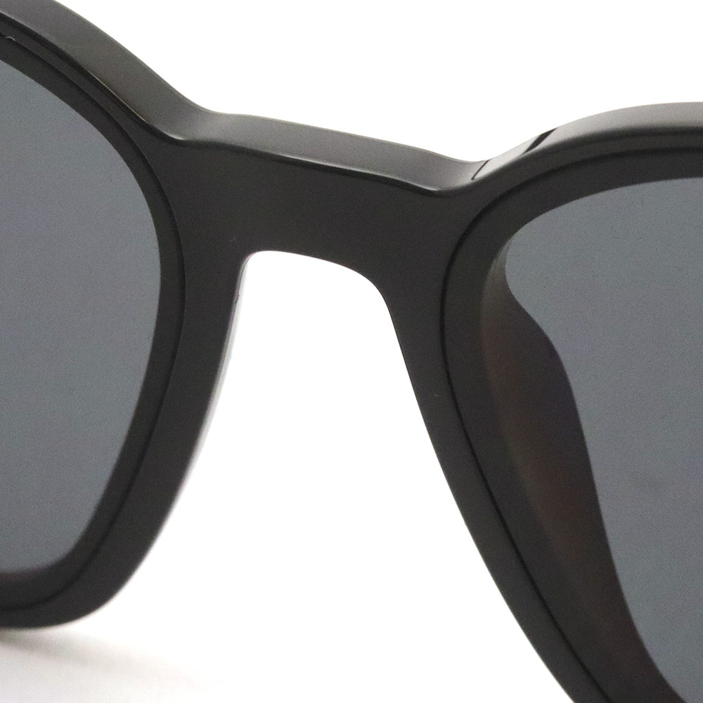 レイバン 偏光サングラス Ray-Ban RB4392D 60181 – GLASSMANIA -TOKYO