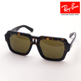 レイバン サングラス Ray-Ban RB4408 135973