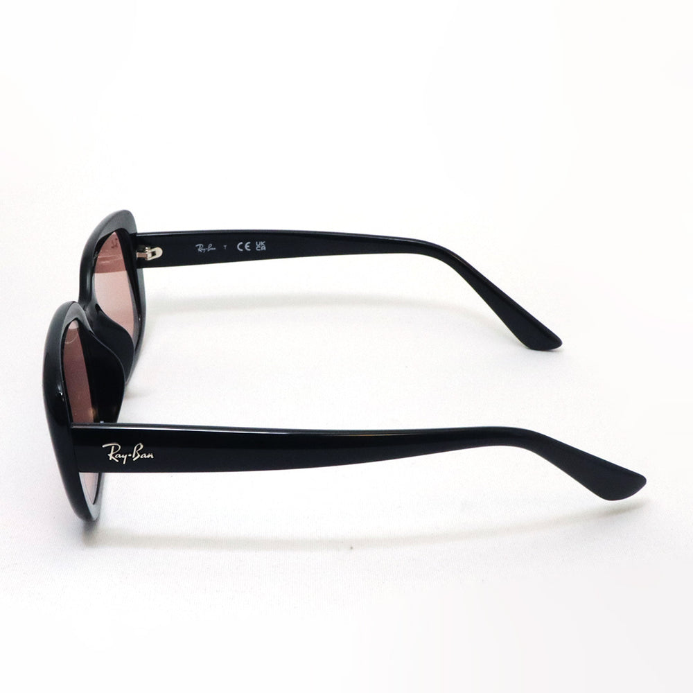 レイバン サングラス Ray-Ban RB4421D 667784 – GLASSMANIA