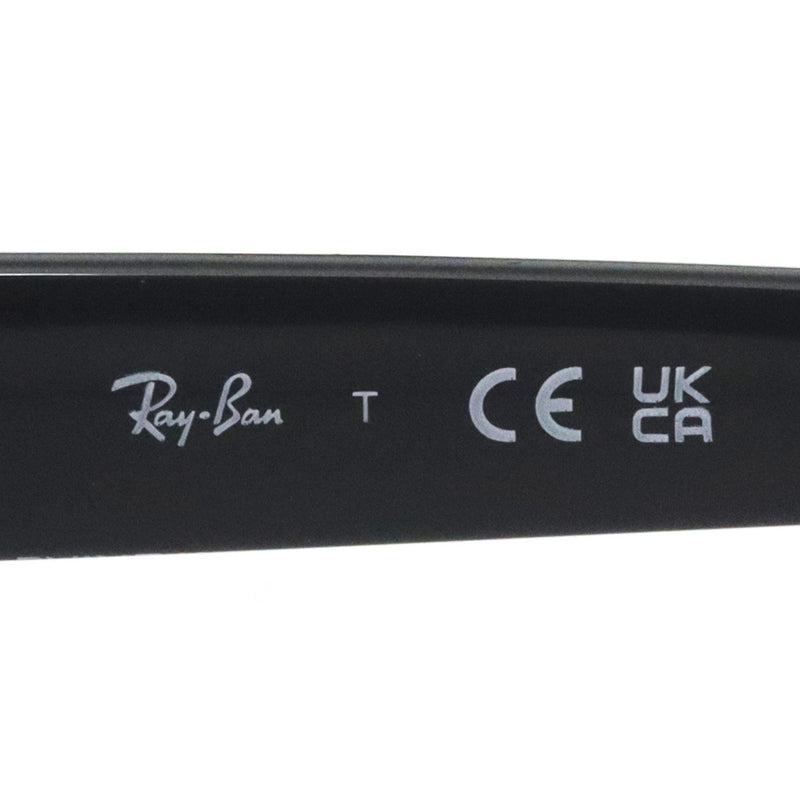 レイバン サングラス Ray-Ban RB4421D 667784