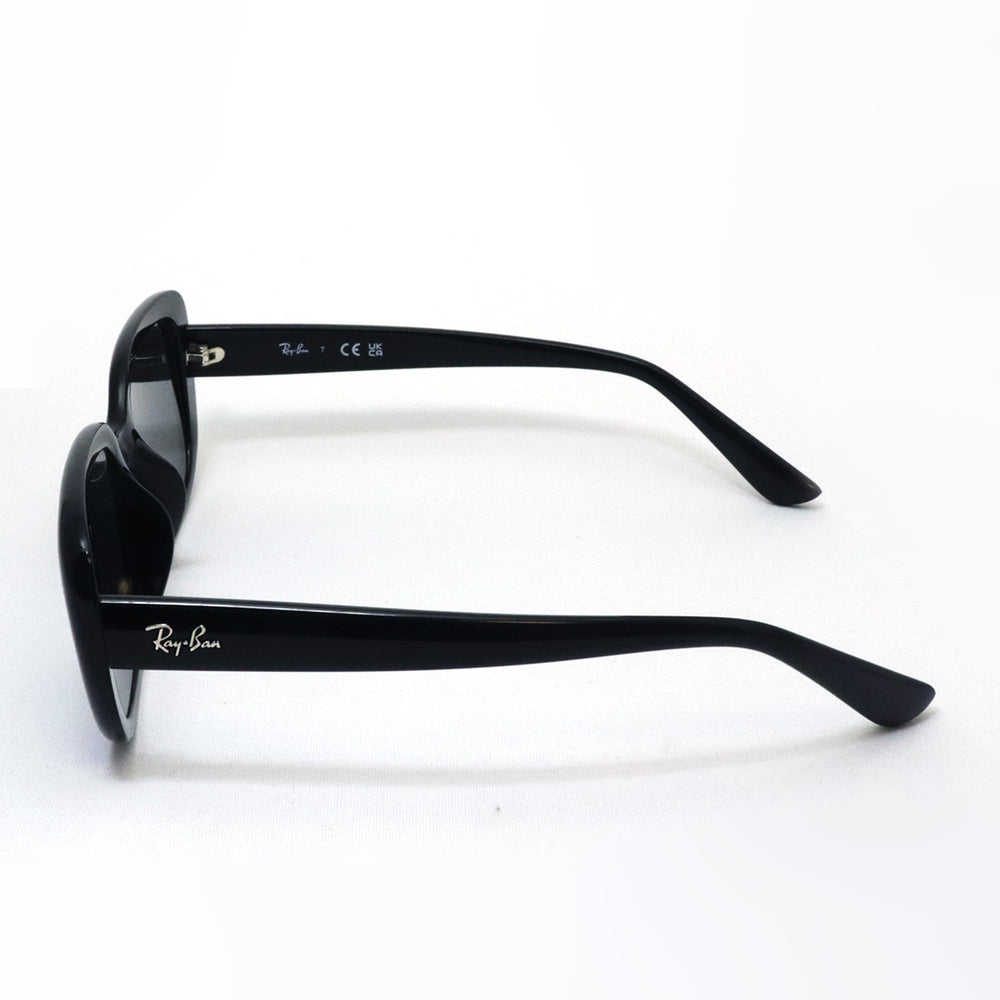 レイバン サングラス Ray-Ban RB4421D 667787 – GLASSMANIA -TOKYO AOYAMA-