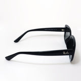 レイバン サングラス Ray-Ban RB4421D 667787