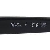 レイバン サングラス Ray-Ban RB4421D 667787