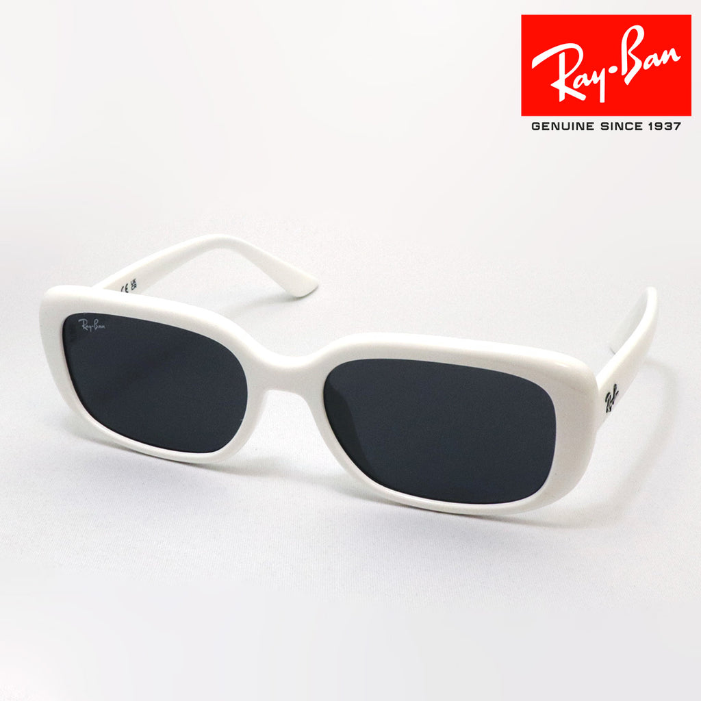 Ray-Ban レイバン サングラス RB4421D 6677/87 レイバン サングラス Ray-Ban RB4421D 667787 – GLASSMANIA