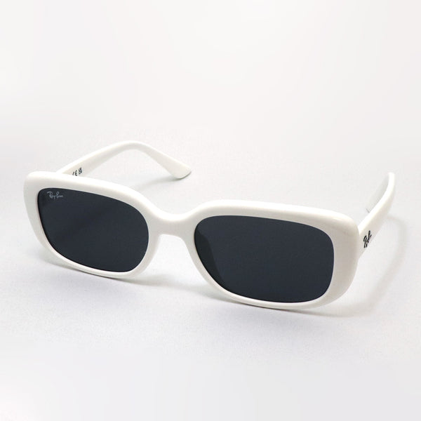 レイバン サングラス Ray-Ban RB4421D 677287