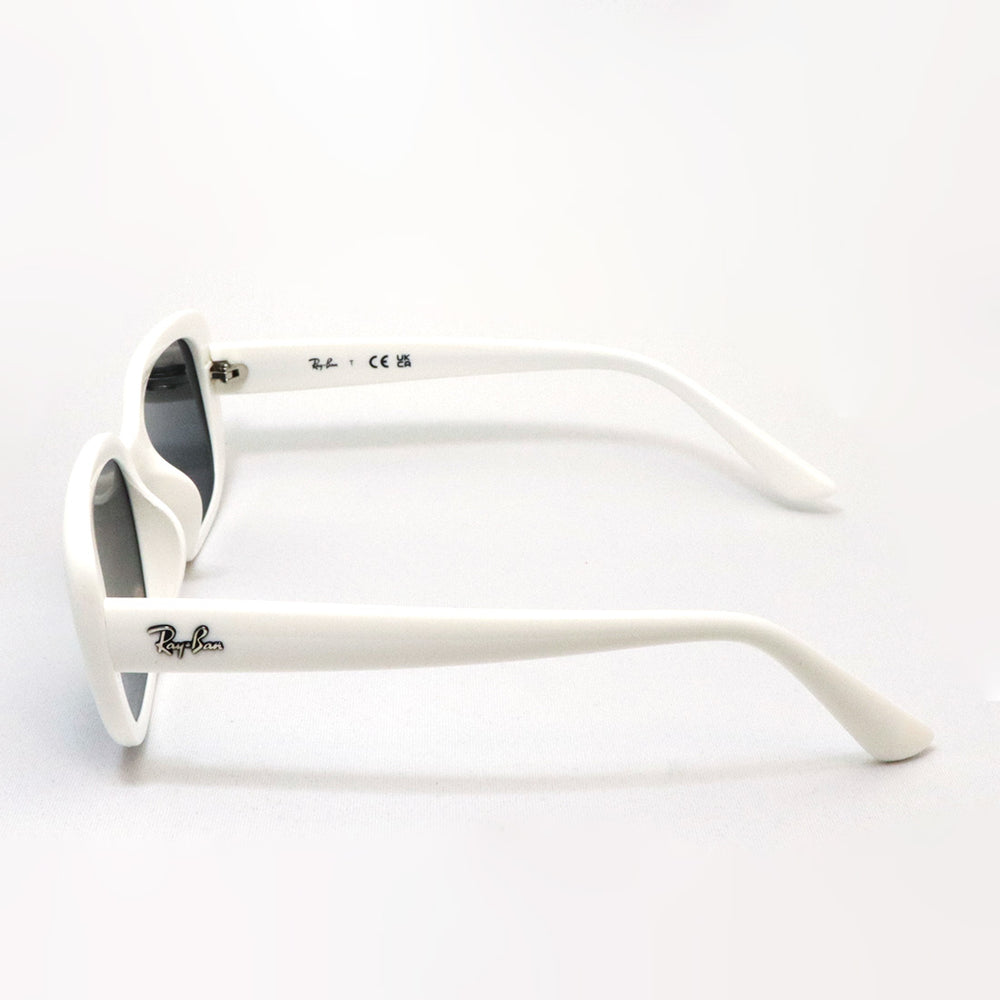 Ray-Ban レイバン サングラス RB4421D 6677/87 レイバン サングラス Ray-Ban RB4421D 667787 – GLASSMANIA