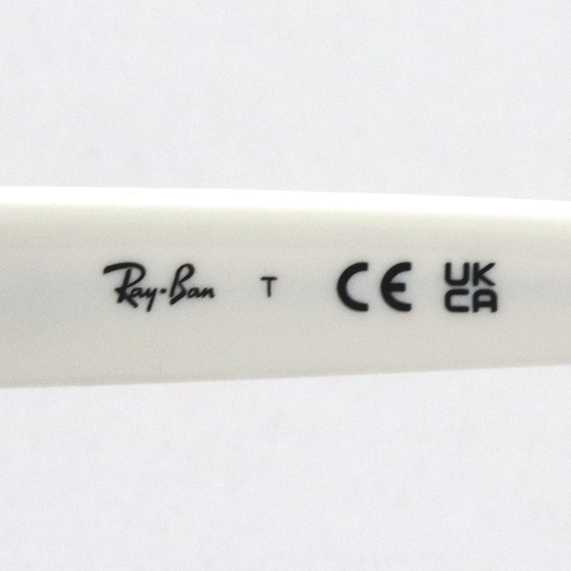 レイバン サングラス Ray-Ban RB4421D 677287