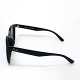 レイバン サングラス Ray-Ban RB4423D 60187