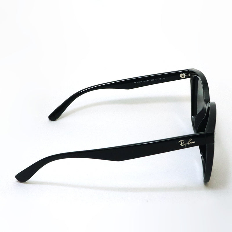 レイバン サングラス Ray-Ban RB4423D 60187