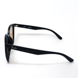 レイバン サングラス Ray-Ban RB4423D 60193