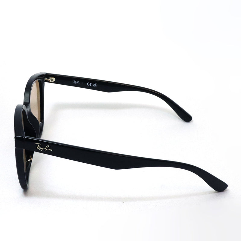 レイバン サングラス Ray-Ban RB4423D 60193