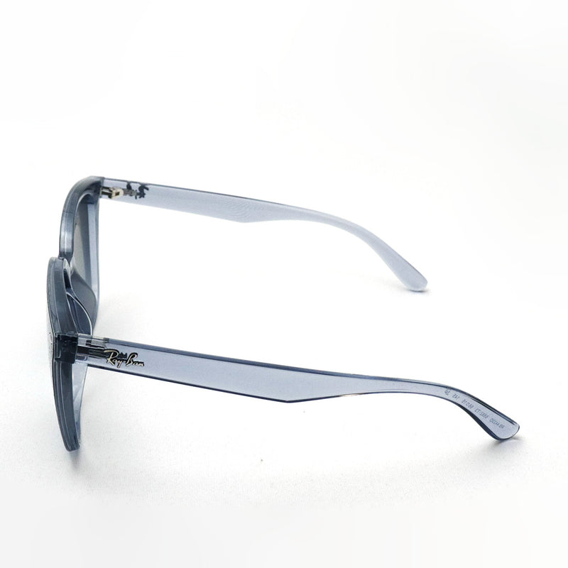 レイバン 偏光サングラス Ray-Ban RB4423D 6592T3