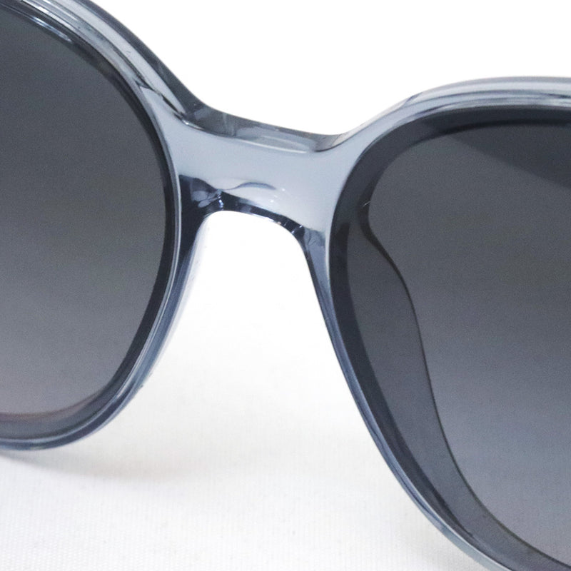 レイバン 偏光サングラス Ray-Ban RB4423D 6592T3