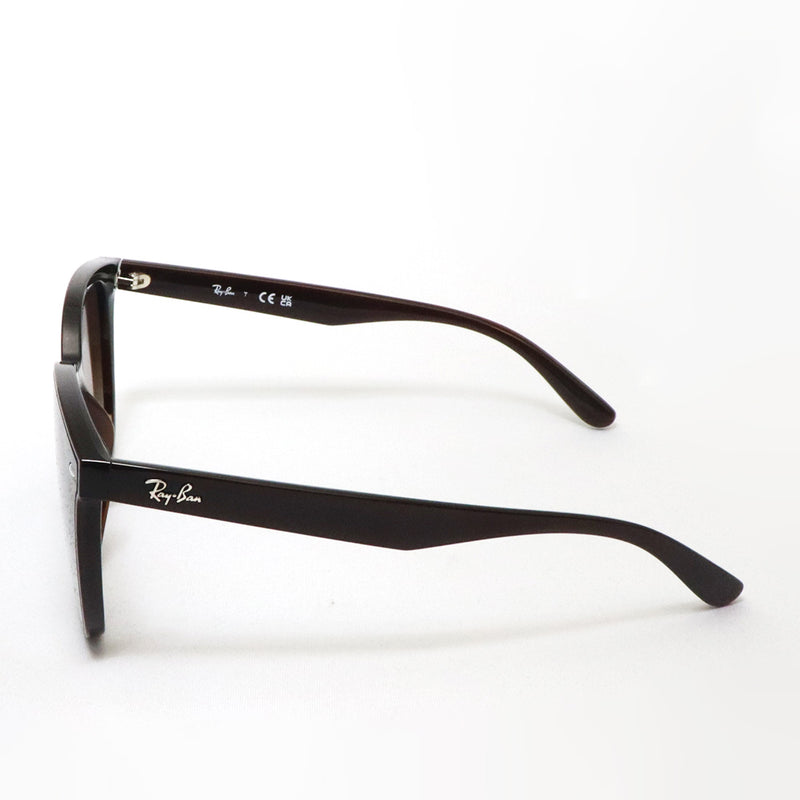 レイバン サングラス Ray-Ban RB4423D 71413