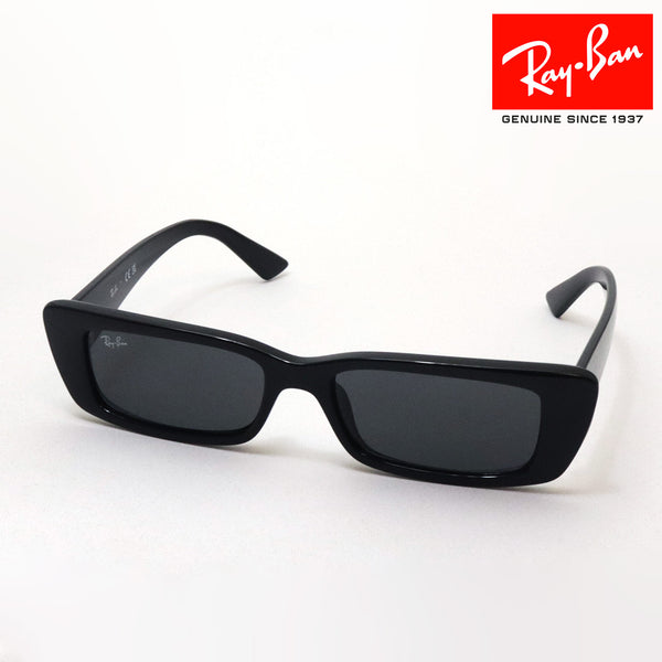 レイバン サングラス Ray-Ban TERU テル RB4425F 667787 54 スクエア