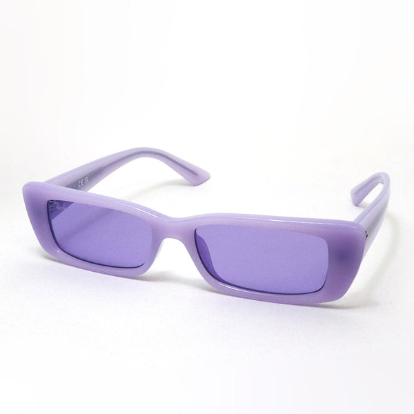 レイバン サングラス Ray-Ban TERU テル RB4425F 67581A 54 スクエア
