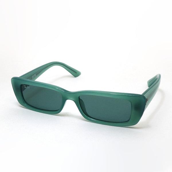 レイバン サングラス Ray-Ban TERU テル RB4425F 676282 54 スクエア