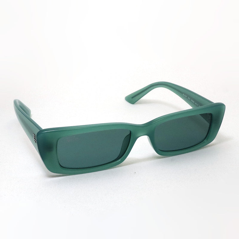 レイバン サングラス Ray-Ban TERU テル RB4425F 676282 54 スクエア