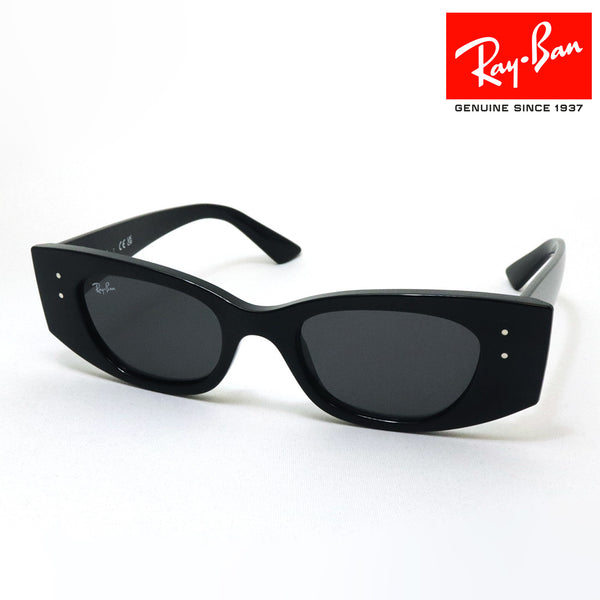 レイバン サングラス Ray-Ban RB4427 667787