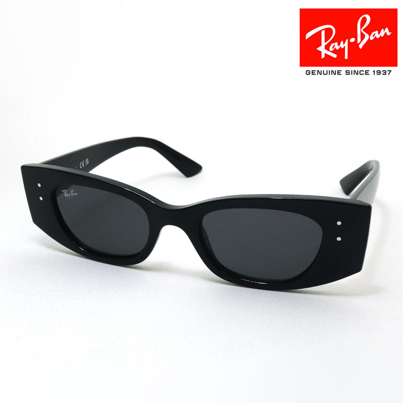 レイバン サングラス Ray-Ban RB4427 667787