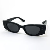 レイバン サングラス Ray-Ban RB4427 667787