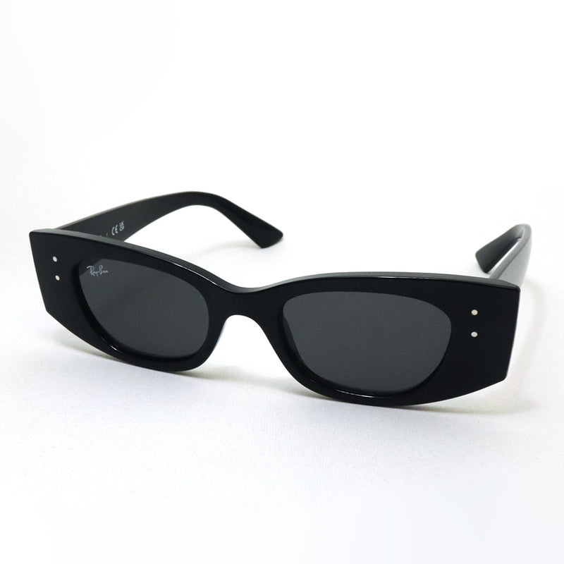 レイバン サングラス Ray-Ban RB4427 667787