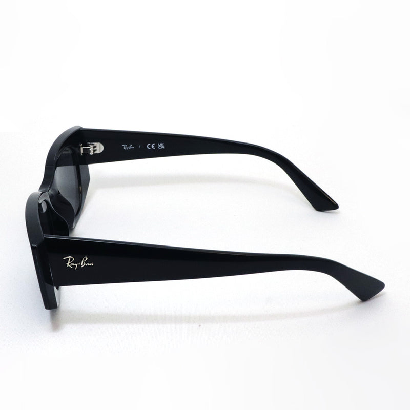 レイバン サングラス Ray-Ban RB4427 667787