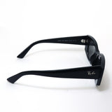 レイバン サングラス Ray-Ban RB4427 667787