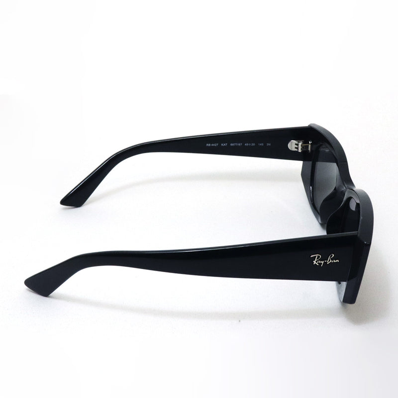 レイバン サングラス Ray-Ban RB4427 667787