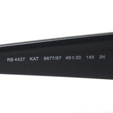 レイバン サングラス Ray-Ban RB4427 667787