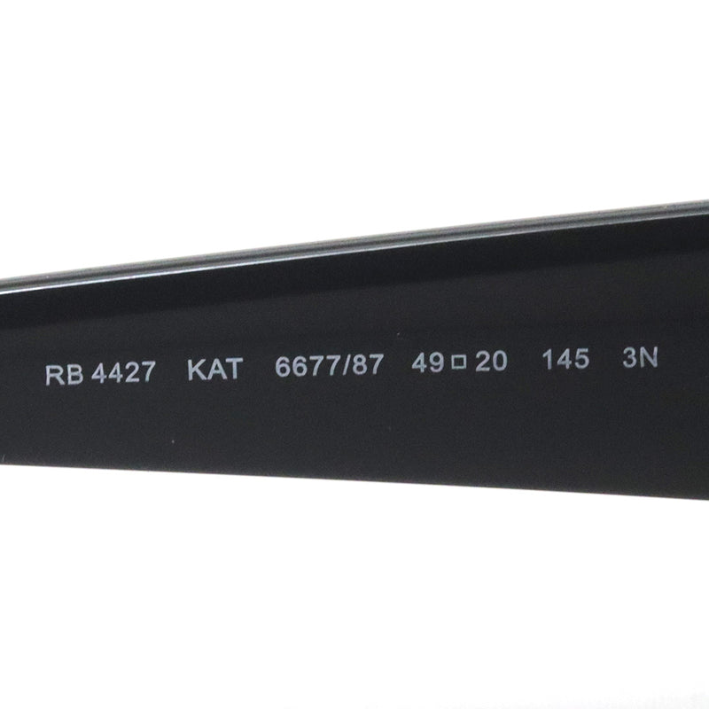 レイバン サングラス Ray-Ban RB4427 667787