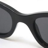 レイバン サングラス Ray-Ban RB4427 667787