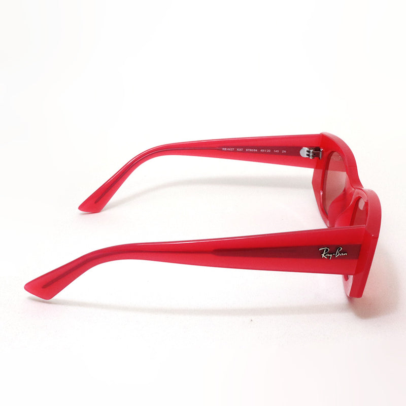レイバン サングラス Ray-Ban RB4427 676084
