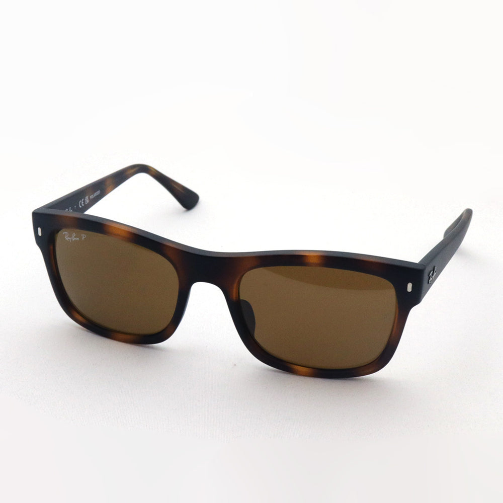 Ray-Ban レイバン RB4487 偏光 一眼レンズ サングラス レイバン公式ストア】 Ray-Ban® STEVE サングラス | 透明上に