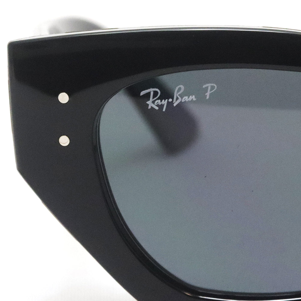 レイバン 偏光サングラス Ray-Ban RB4430F 667781 – GLASSMANIA