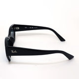 レイバン 偏光サングラス Ray-Ban RB4430F 667781
