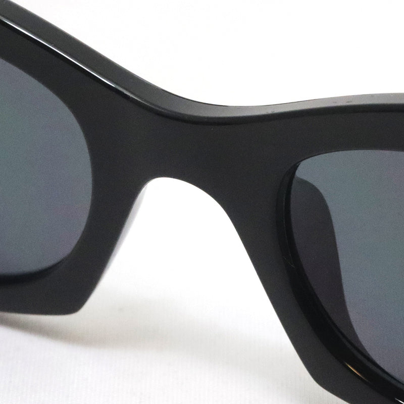 レイバン 偏光サングラス Ray-Ban RB4430F 667781