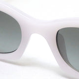 レイバン サングラス Ray-Ban RB4430F 675911