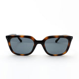 レイバン サングラス Ray-Ban RB4439D 71087 54