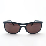 レイバン 偏光サングラス Ray-Ban RB4452CH 60171A 56 59 クロマンス CHROMANCE スクエア