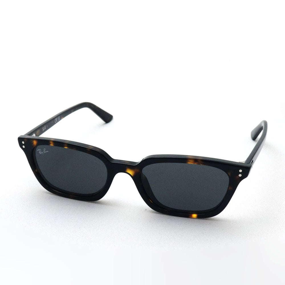 レイバン サングラス Ray-Ban ZAYA ザヤ RB4456F 135987 51 スクエア