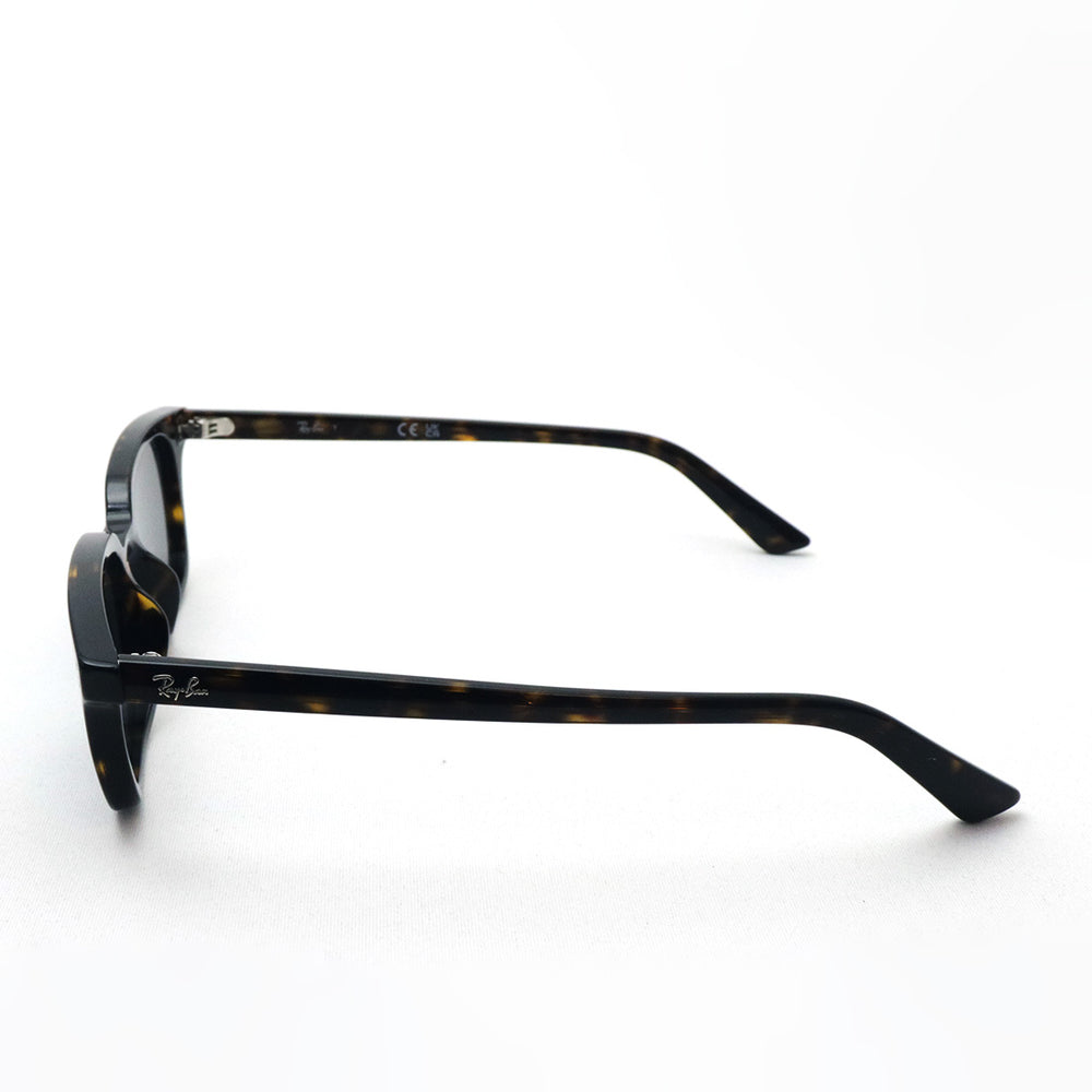 レイバン サングラス Ray-Ban ZAYA ザヤ RB4456F 135987 51 スクエア