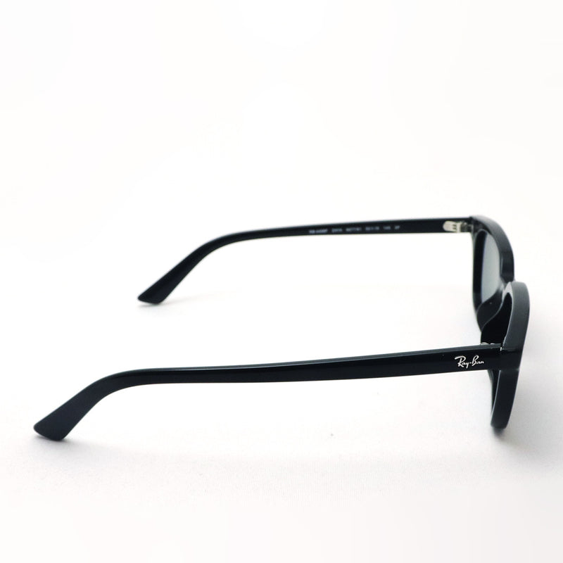 レイバン 偏光サングラス Ray-Ban ZAYA ザヤ RB4456F 667781 51 スクエア
