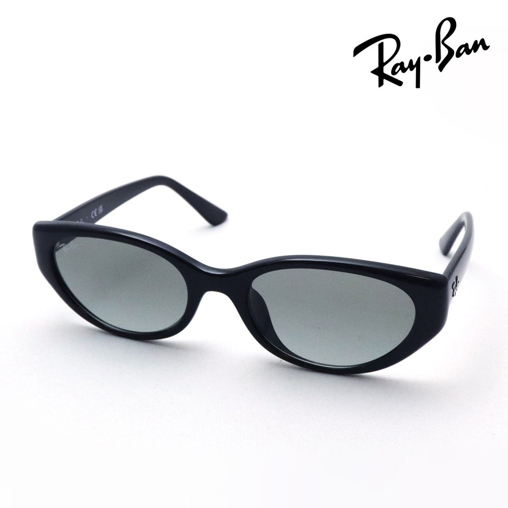 小物 Ray-Ban RB4457D Ray-Ban RB4457D Bio-Based L (55 - 19) with Grey lenses and Black