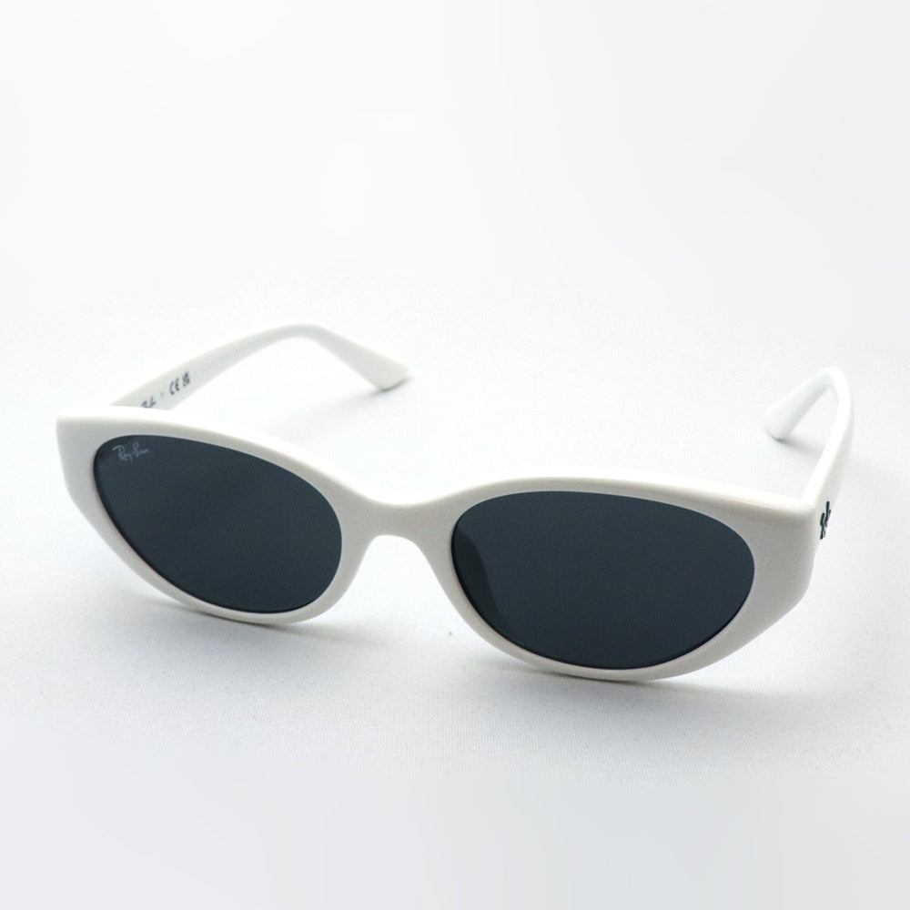 レイバン サングラス Ray-Ban RB4457D 677287 55 オーバル